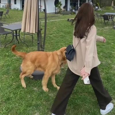 热汤